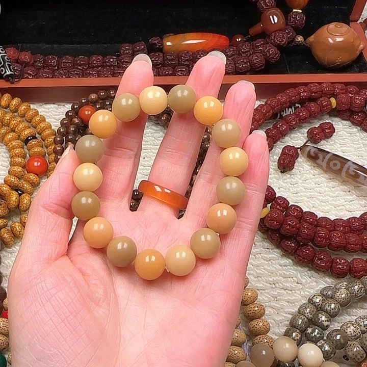 晴****菩提根/象牙果手串菩提根手串