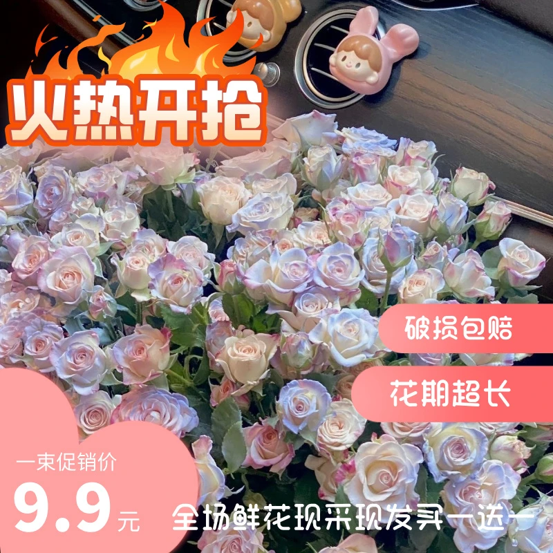 碎冰蓝折射泡泡多头玫瑰云南基地直发新鲜花束家用装饰