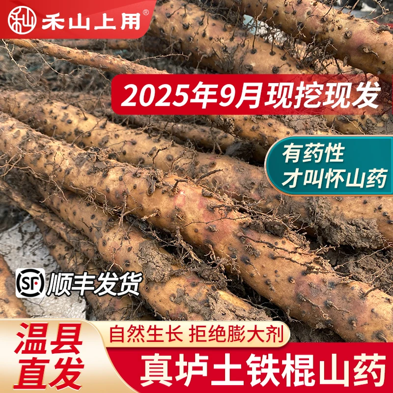 温县直发2025河南焦作温县正宗垆土铁棍山药鲜怀山药现挖现发精品