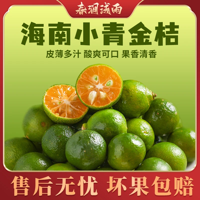 【春涧浅雨】海南小青金桔1/2斤装