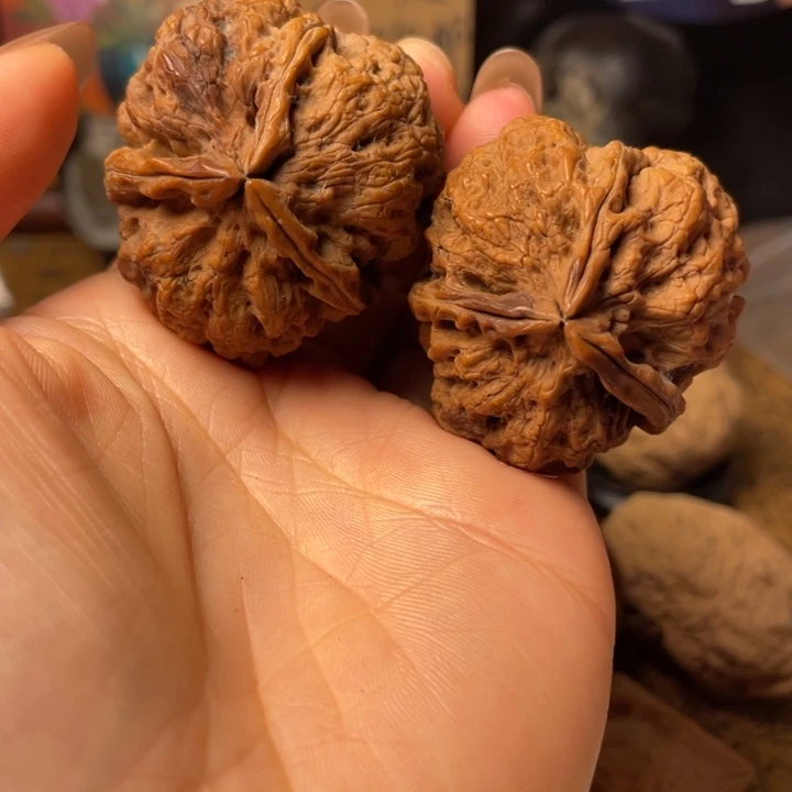 R云南铁核桃默认微瑕68