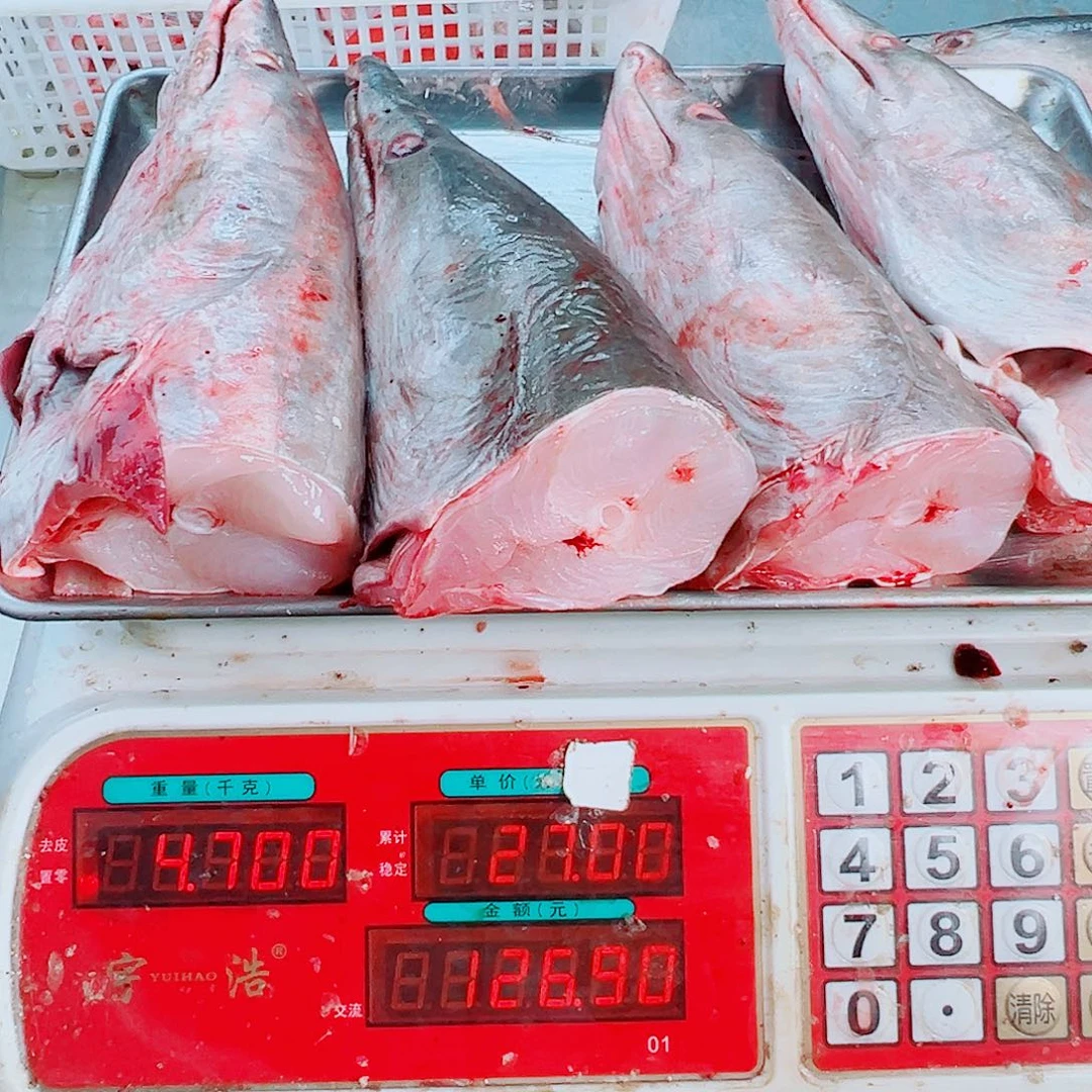 中国大陆四个鳗鱼头