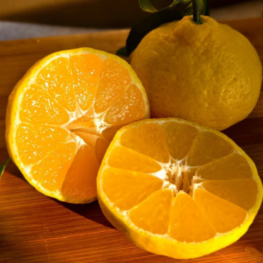 绿美人4～5个左右