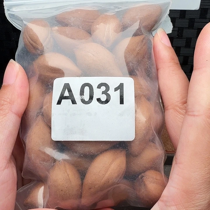 手串/手链橄榄核橄榄