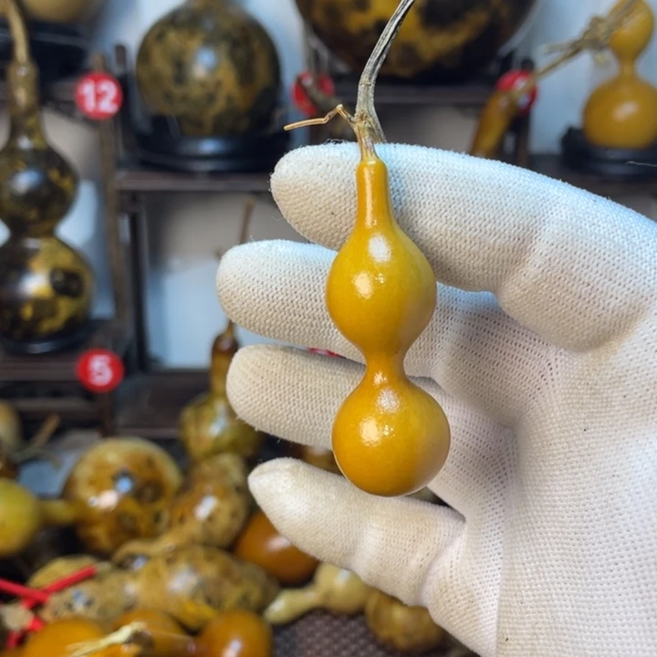 诸**郎老了我就想知道你有没有在微博看到的消息