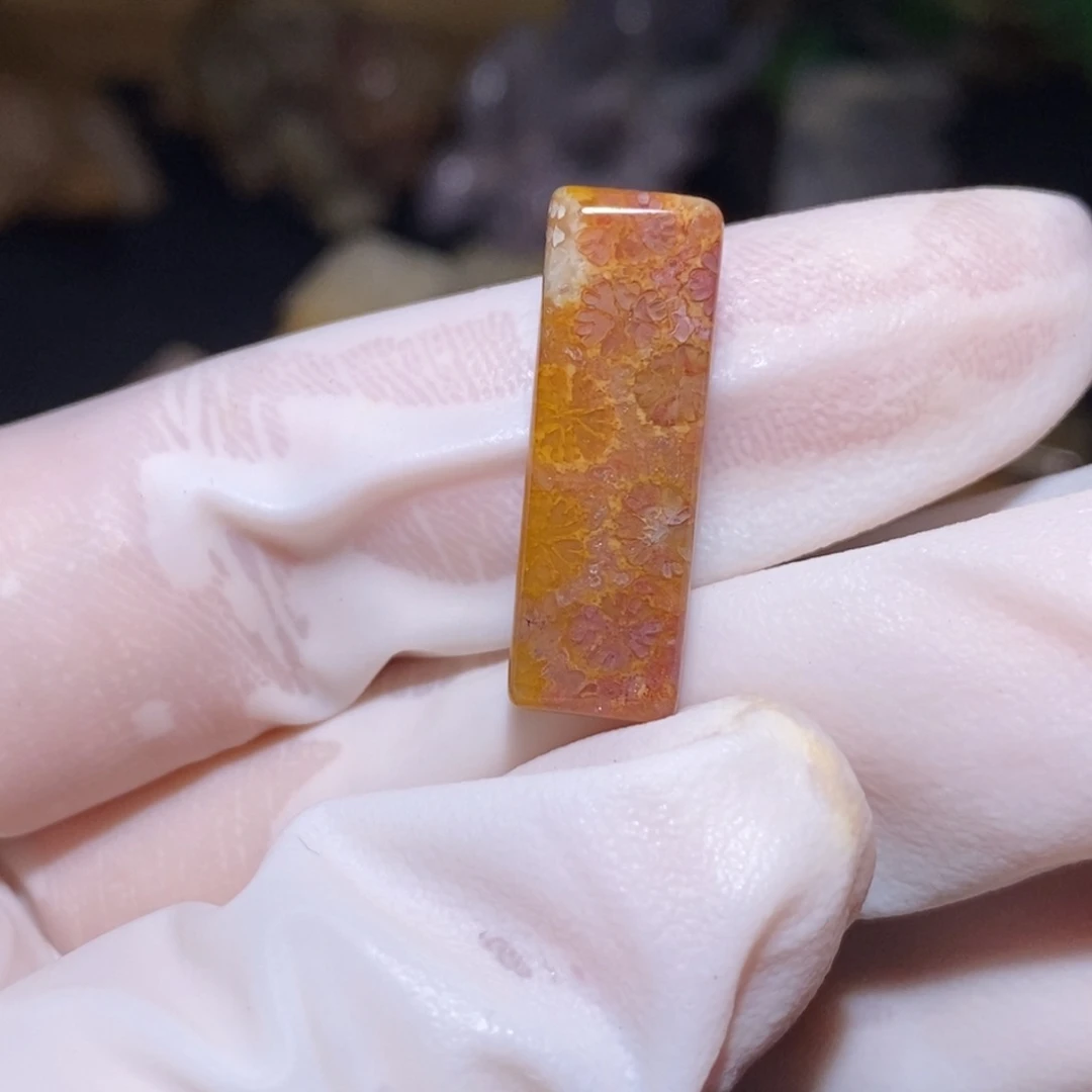 【闪购商品】硅化玉颈饰未镶嵌