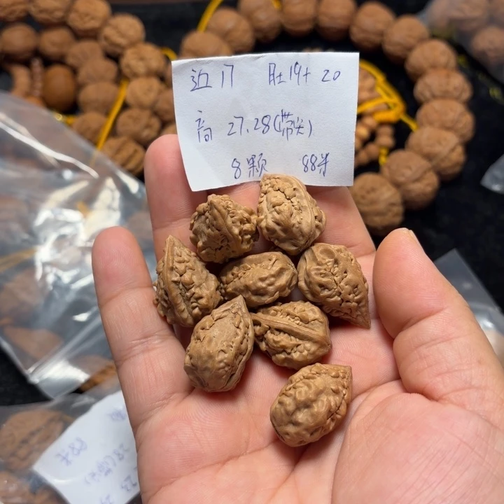 文玩核桃手串麒麟角单圈8颗