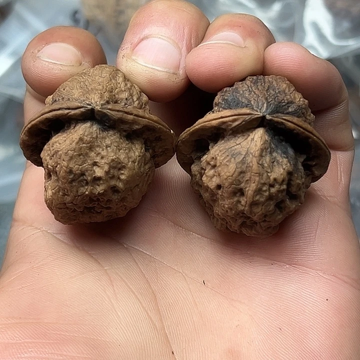 把件文玩核桃26号官帽蟾38尺