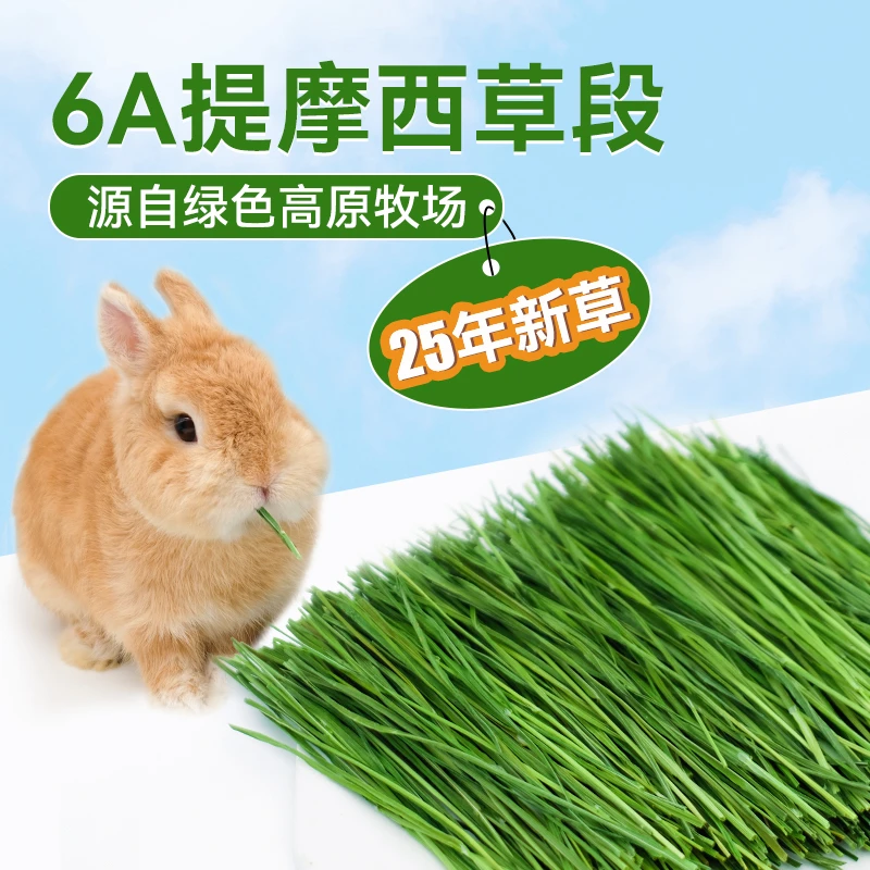 2025年新草烘干提摩西草北提草段6A兔子龙猫土拨鼠主草牧草500g