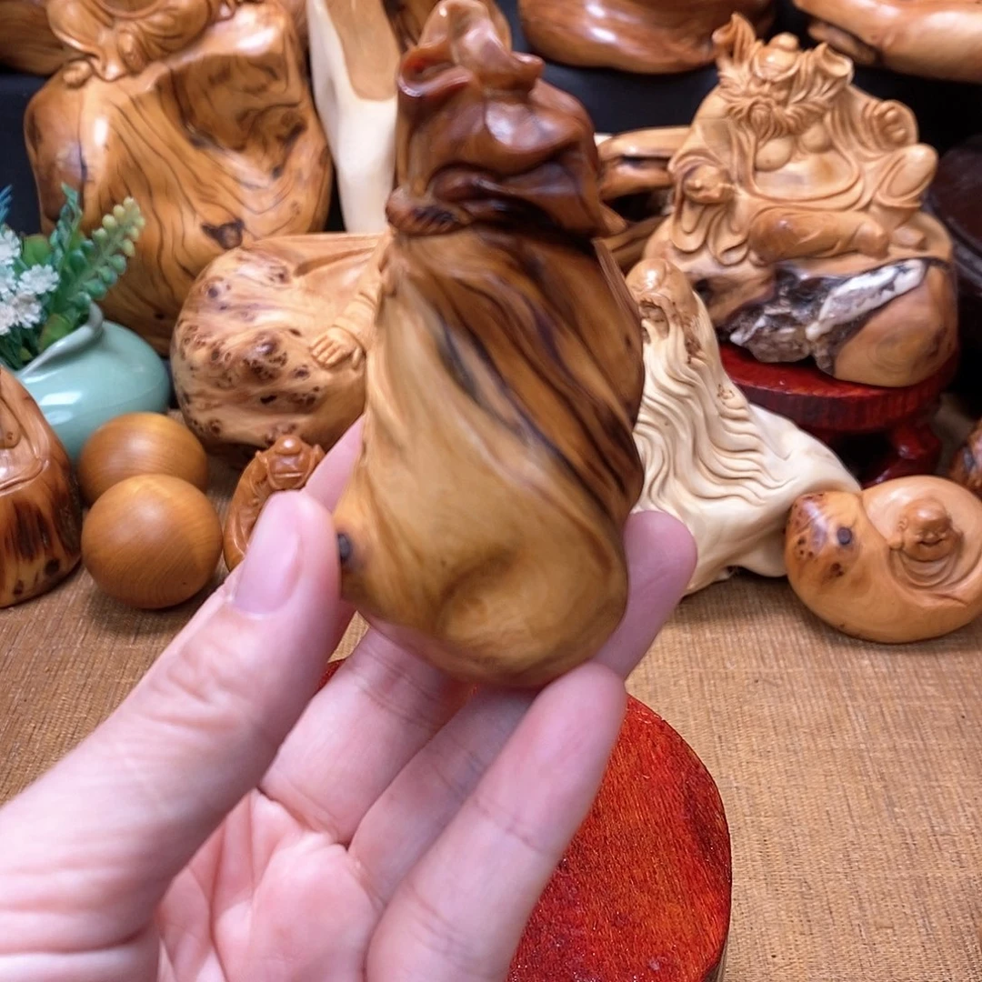 柏木（崖柏）一物一图