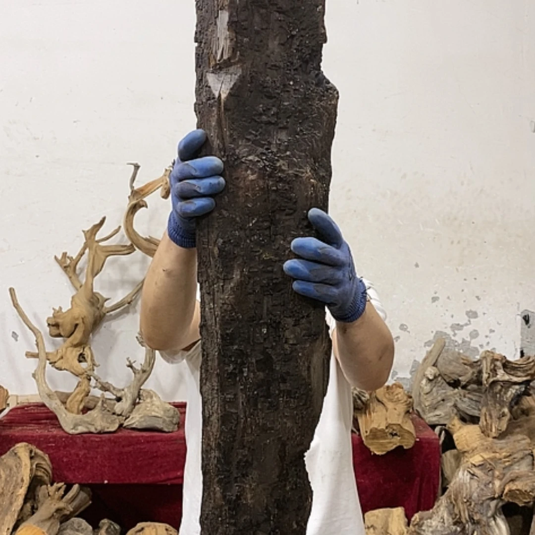 【闪购商品】柏木上****啦我们都在努力生活了哦