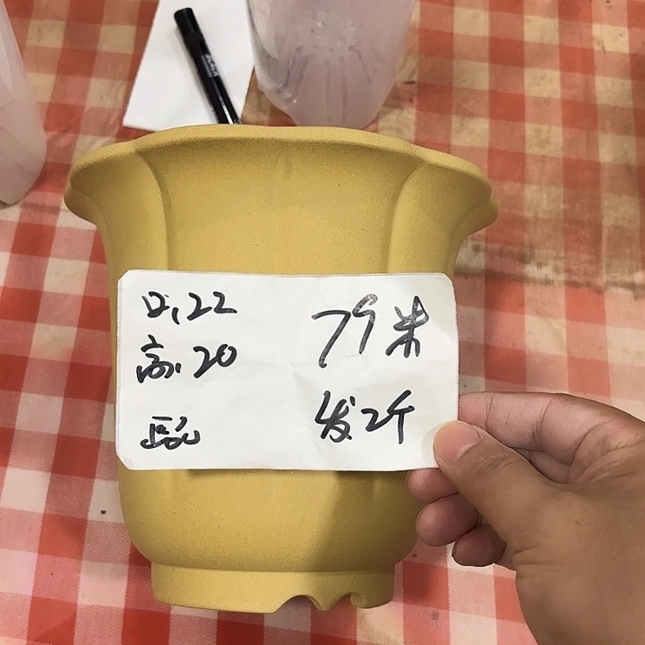 宜兴丁山张伟花盆