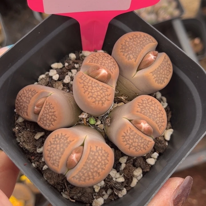 317号88888888888888