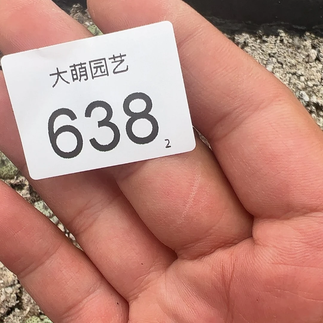 0000638 清框脱土发无售后……