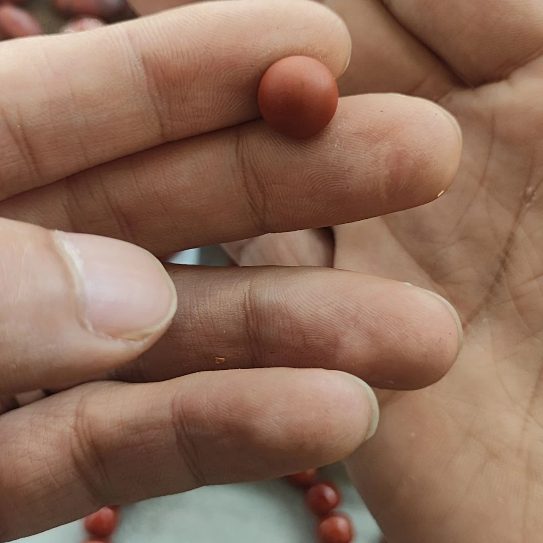 南红玛瑙合金颈饰柿子红10.3圆珠，有纹，克1.5