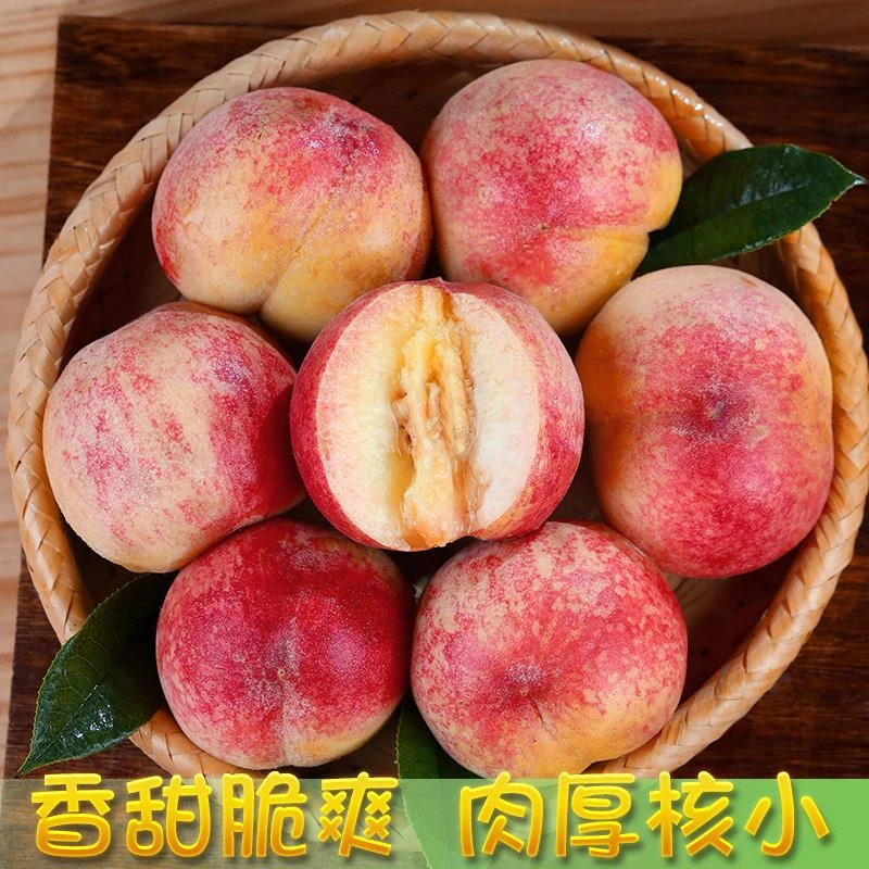 水蜜桃新鲜现摘桃子孕妇应季水果毛桃脆桃整箱包邮5斤