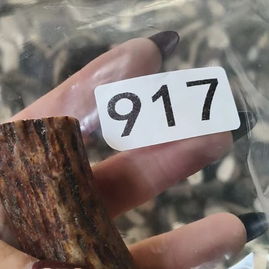 X***Z鹿角鹿角鹿角鹿角鹿角鹿角鹿角鹿角鹿角