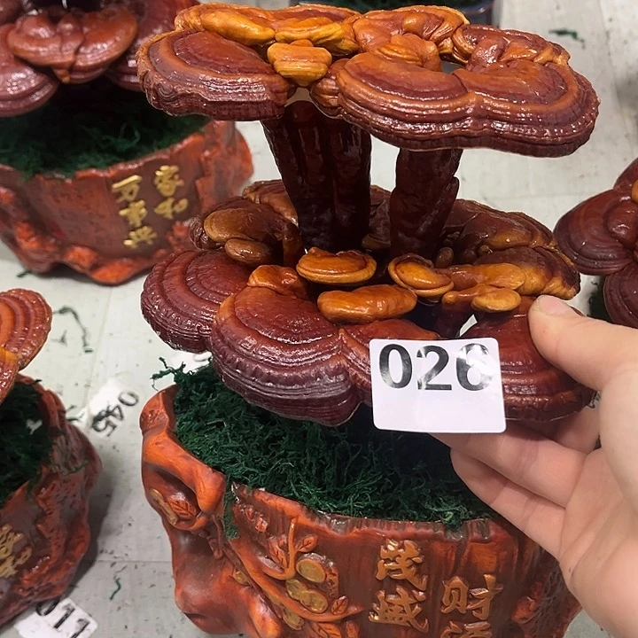 全部花朵88888888888888