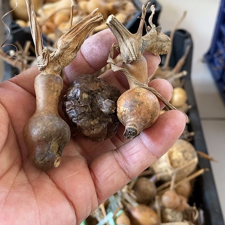 s***鹤Usidkgkfjjdjffe