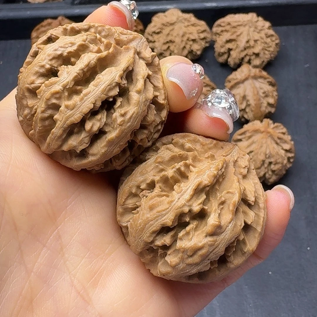 桃木突突突突突突突