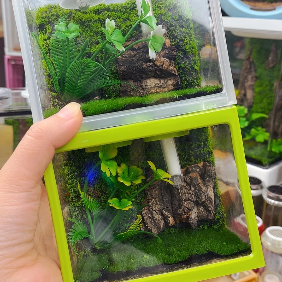 积木箱送竹铃拍拍拍
