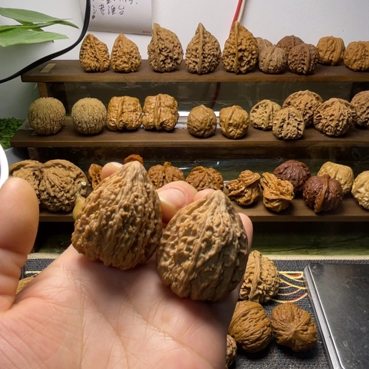 塔尖儿全品34.34.40