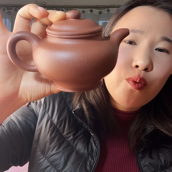 紫砂茶壶紫泥底槽青掇支260cc