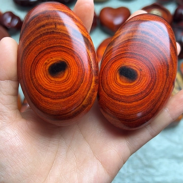 老***风木木木木木木11111111