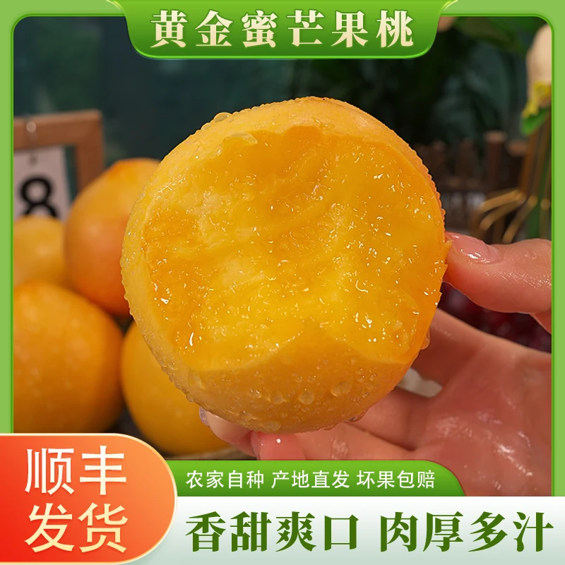 【顺丰】辽宁黄金蜜桃芒果桃应季油桃黄桃果园现摘甜嫩多汁3斤起