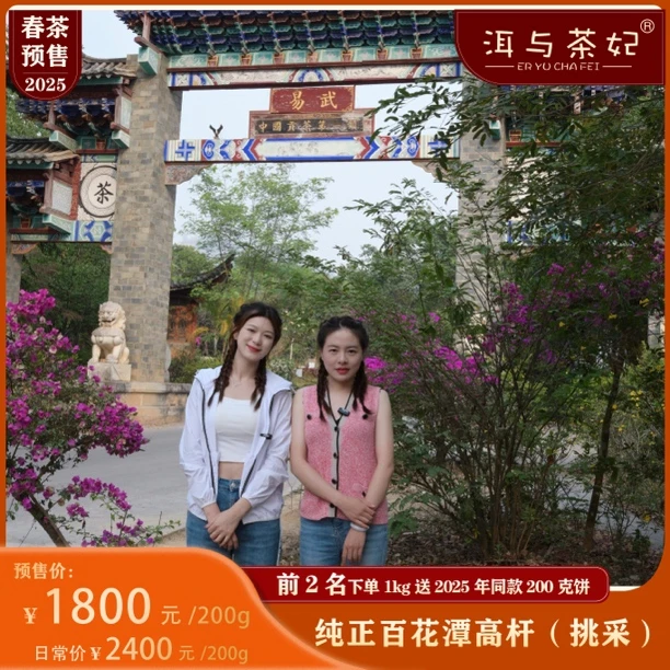 2025年易武茶区普洱生茶百花潭高杆石门坎单株