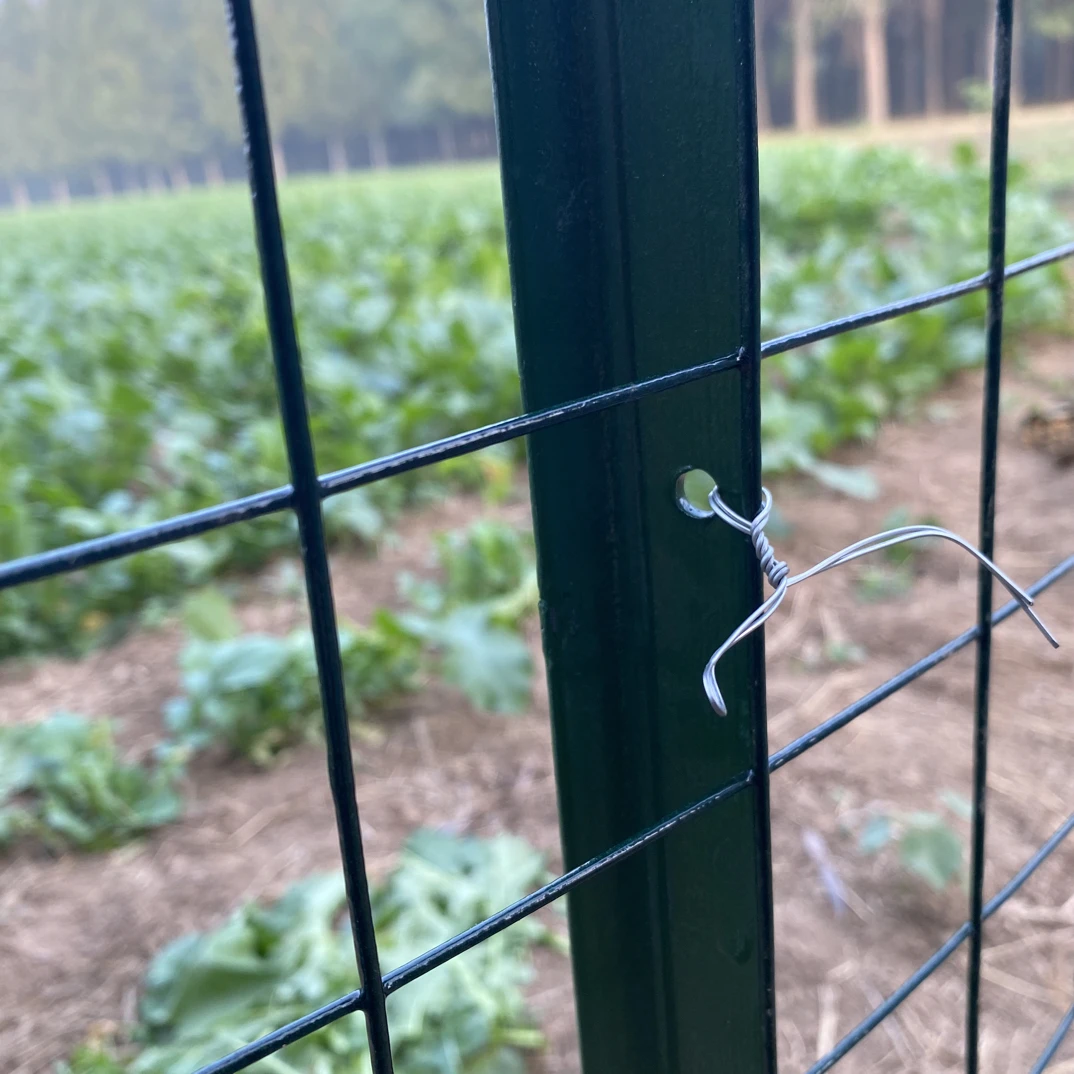 硬塑荷兰网铁丝网1.5高40斤4卷