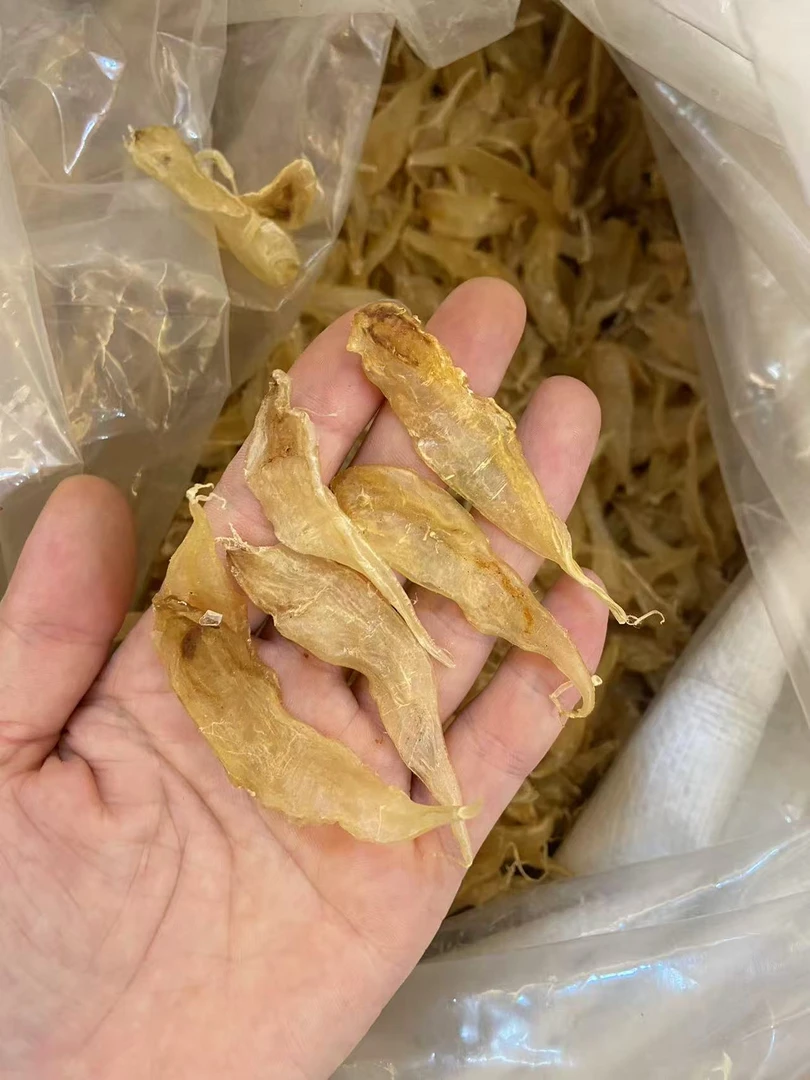 广东汕头-小豆仁公鱼胶花胶断鱼胶干货代拍链接，煲汤250-500g