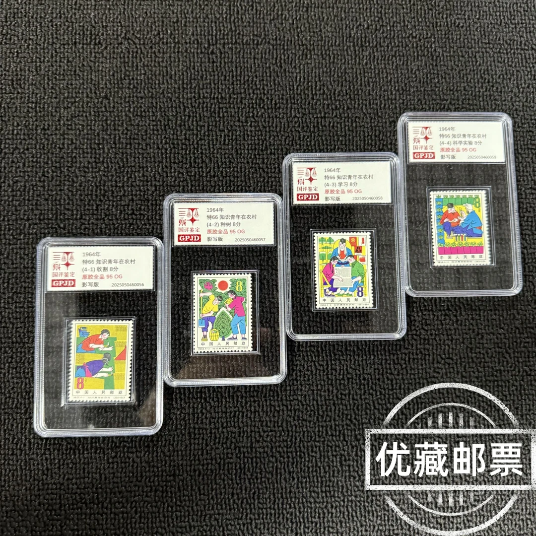 特66 知青 邮票 90OG 原胶全品 高品相老纪特 收藏必入