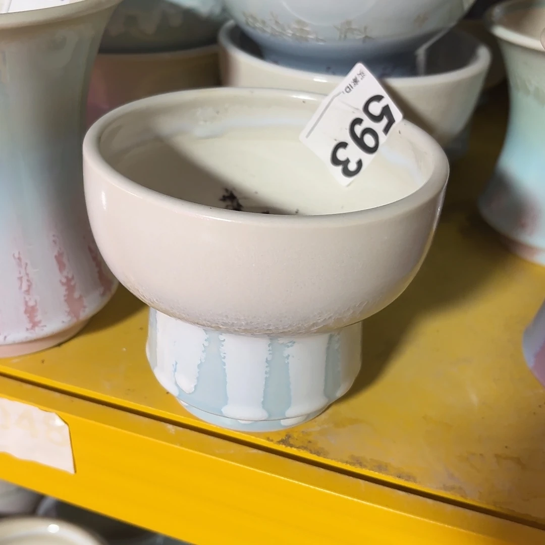 景德镇多肉花盆593