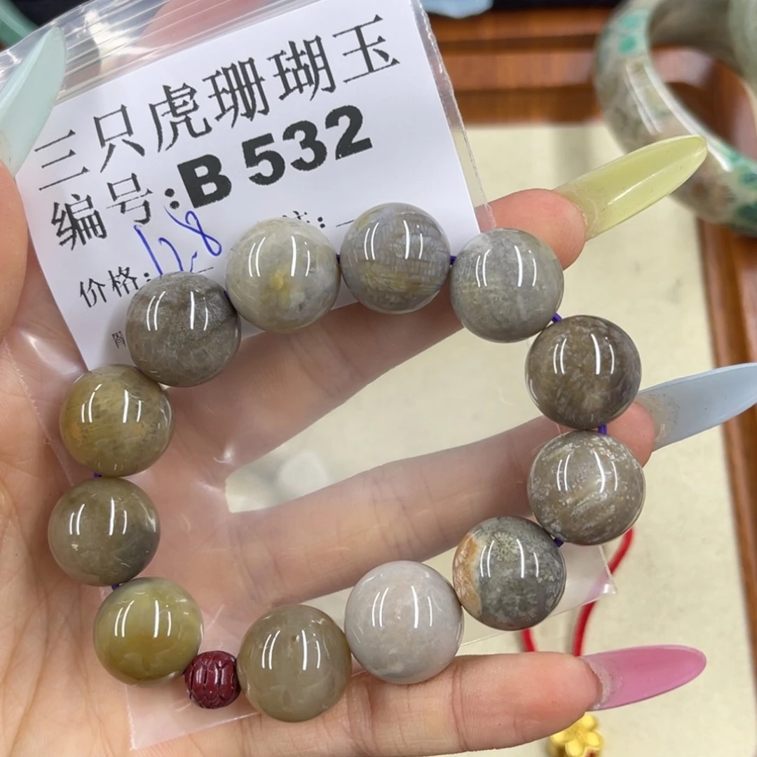 莫***卡硅化珊瑚（珊瑚玉）h未镶嵌