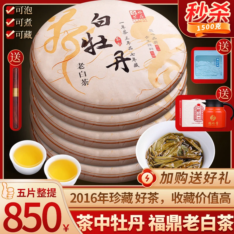限量版福鼎白茶2016明前白牡丹王茶饼高山生态茶叶礼盒装