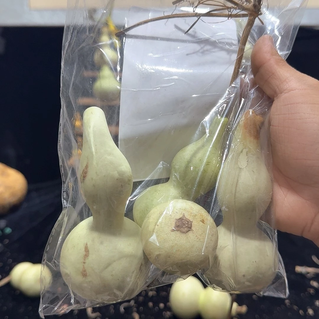 何***定向定向定向定向