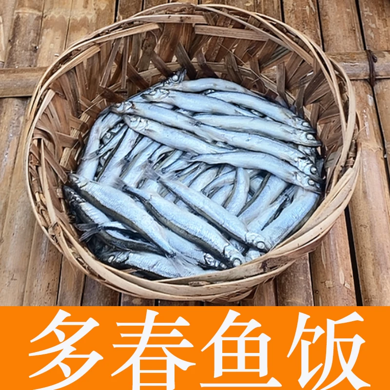 【多春鱼饭】潮汕整筐当天现留打冷鱼肉质鲜嫩可清蒸