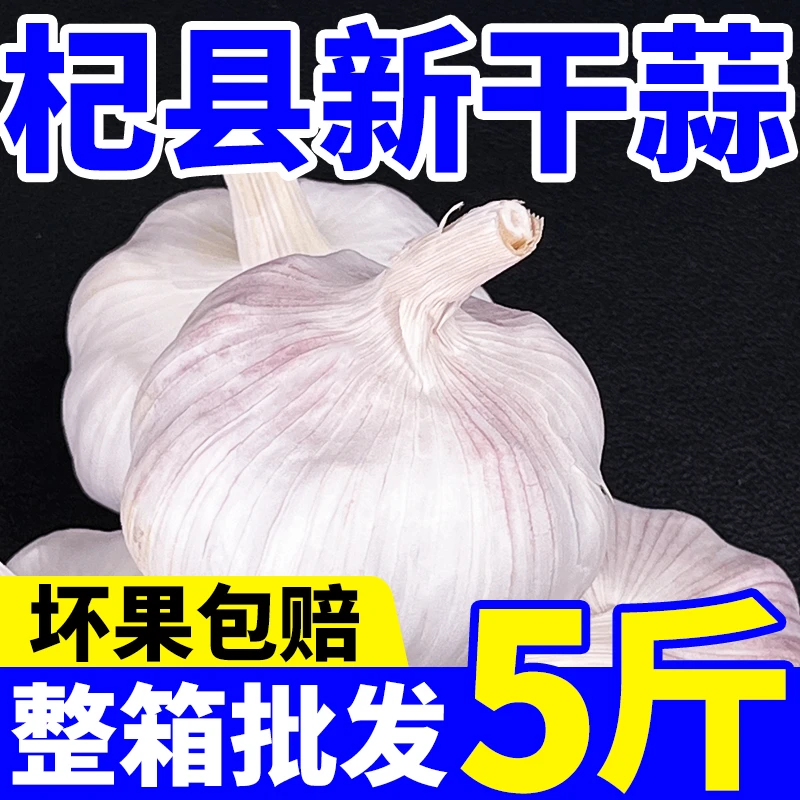 【今天拍,明天到】正宗杞县大蒜紫白皮大蒜蒜头农家自种2025年新干蒜