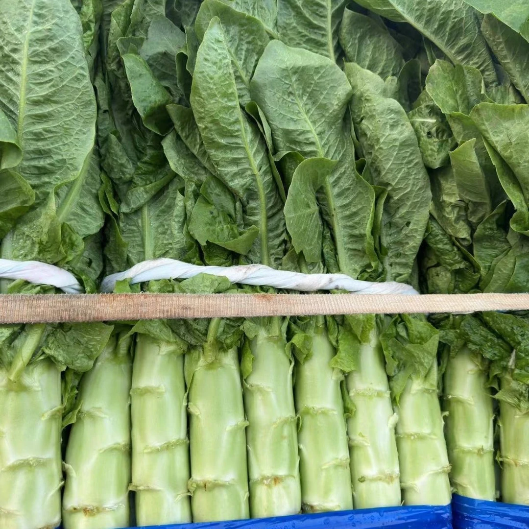 鲁南香莴笋新鲜现砍绿心薄皮当季时令蔬菜