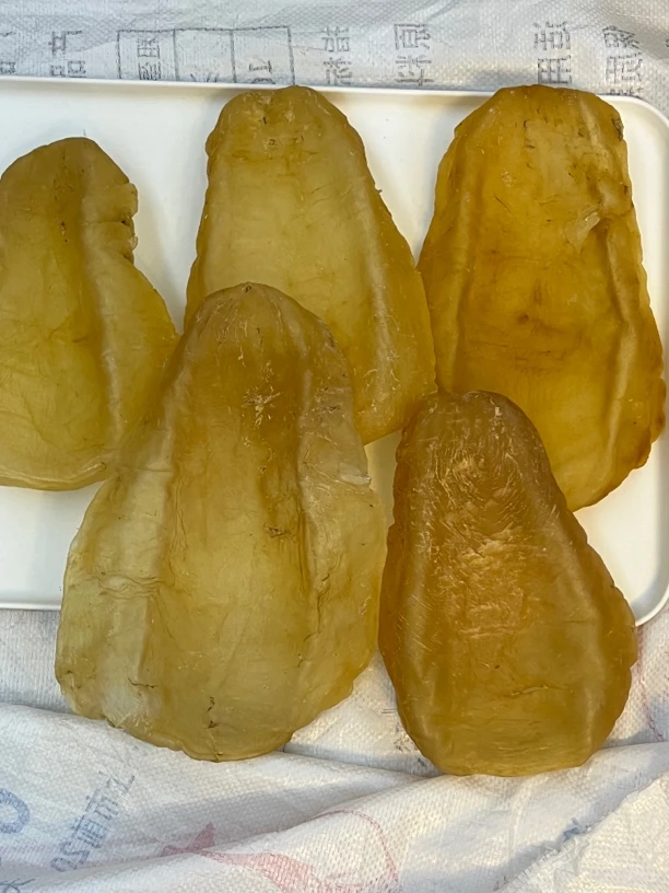 钟姐鱼胶行斗湖胶1-500滋补，养胃