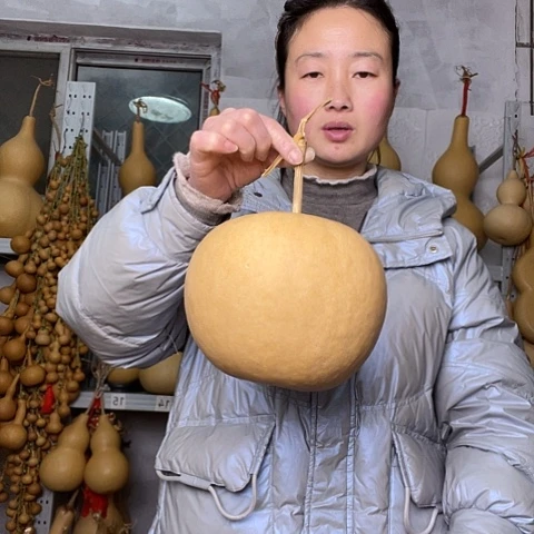 天****6天然植物葫芦文玩