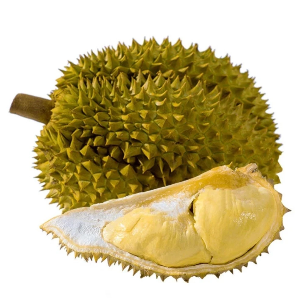 （瑕疵的）泰国金枕榴莲，液氮榴莲（啥也不管）金枕泰王国