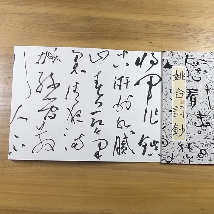 书法中书协老师作品