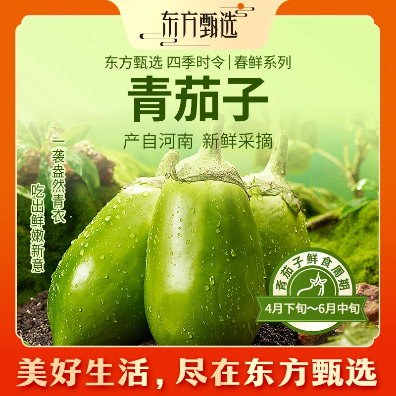 东方甄选自营青茄子新鲜紧实饱满3斤当季新鲜蔬菜入口鲜嫩