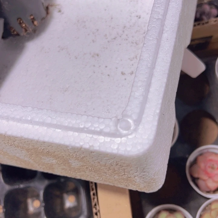 饼*呐保温箱精品多肉植物大战