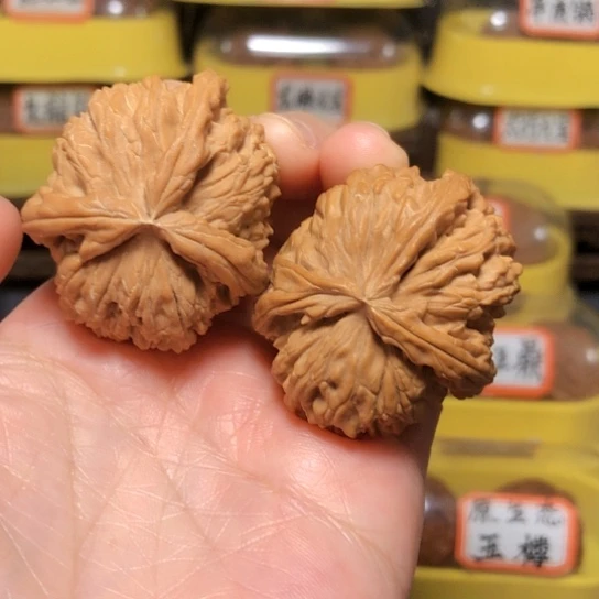 特价秒杀：白狮子异形