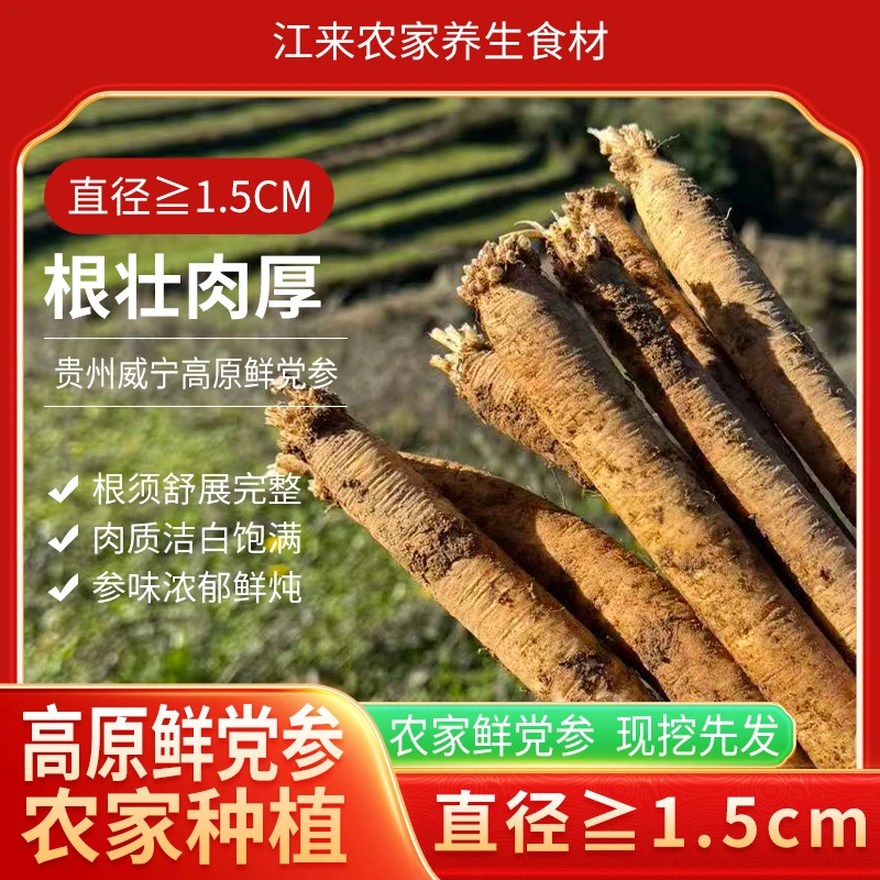 党参鲜货特级党参贵州正品党参官方店当归北黄芪煲汤炖肉
