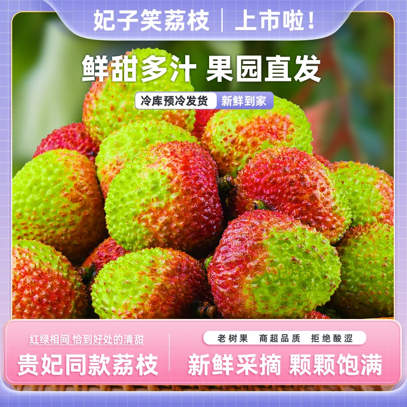 【直播专属】广东妃子笑荔枝 核小肉厚清甜多汁 顺丰包邮 当季荔枝