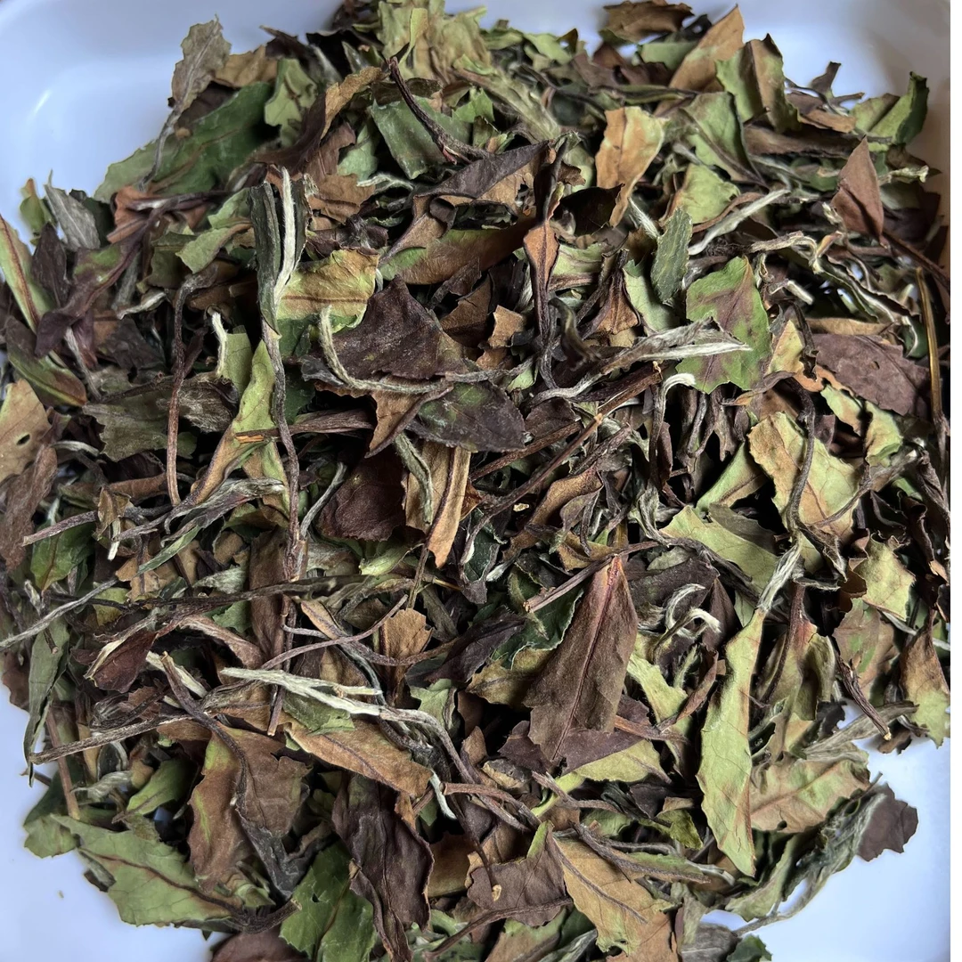 2022年秋露寿眉 香气高扬